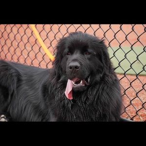 Meet your Posher, Phil